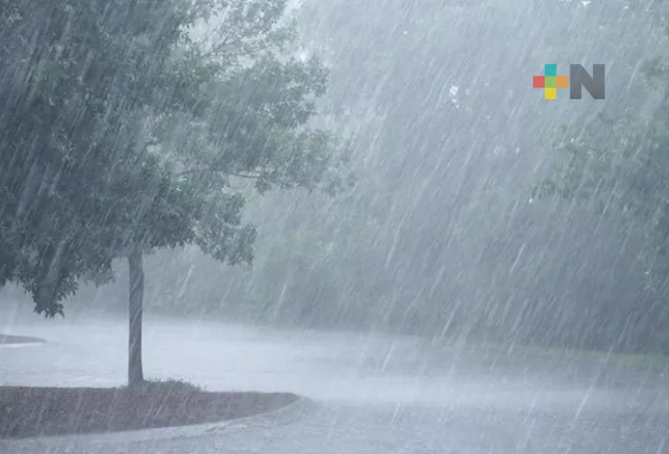 Se pronostican lluvias puntuales torrenciales en regiones de Tamaulipas y Veracruz: Conagua